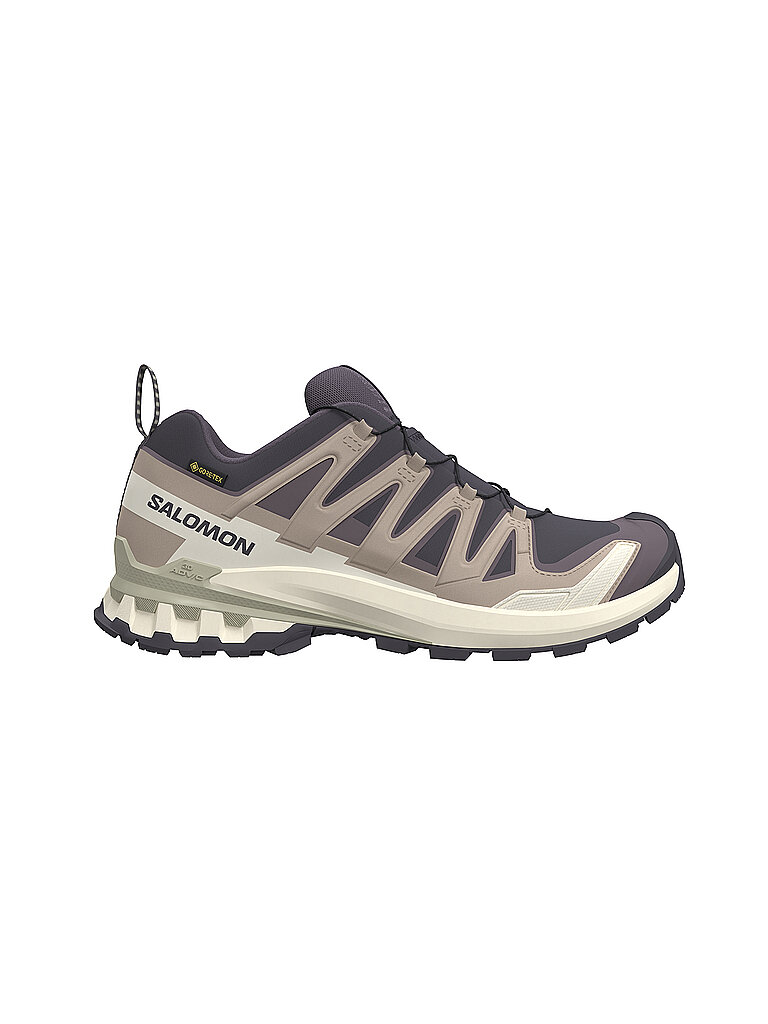 Salomon SALOMON Damen Multifunktionsschuhe XA PRO 3D V9 GTX lila | 38 2/3, lila