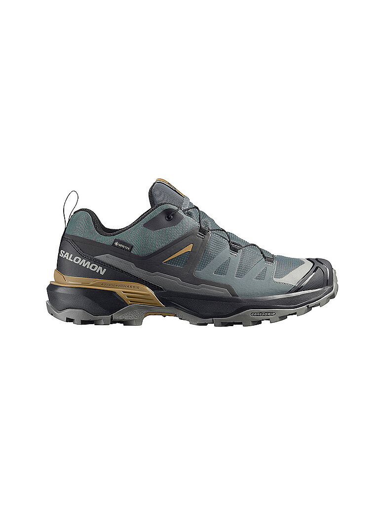 Salomon SALOMON Herren Multifunktionsschuhe X ULTRA 360 GTX grau | 41 1/3, grau