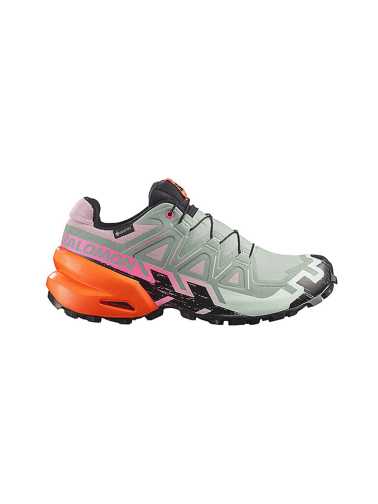 Salomon SALOMON Damen Traillaufschuhe Speedcross 6 GTX Storm hellgrün | 37 1/3, hellgrün