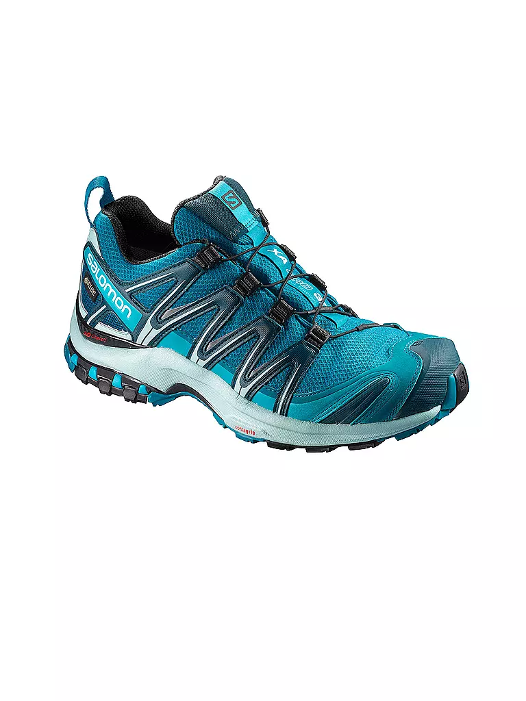 SALOMON | Damen Traillaufschuh XA Pro 3D GTX | 
