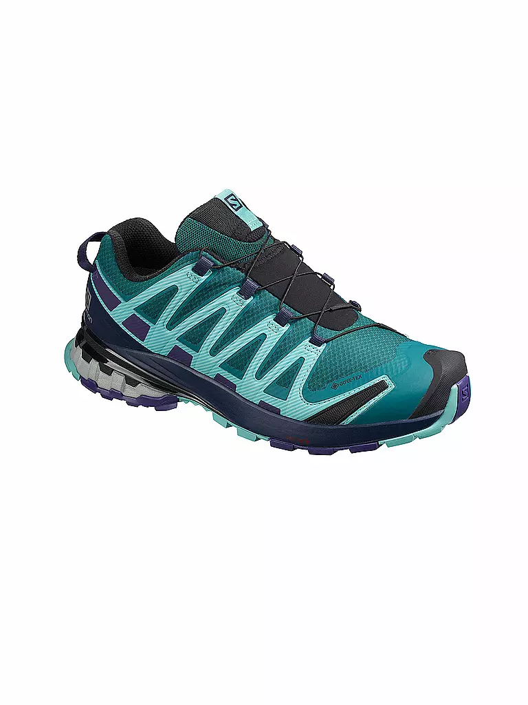 SALOMON | Damen Traillaufschuhe XA Pro 3D V8 GTX | türkis