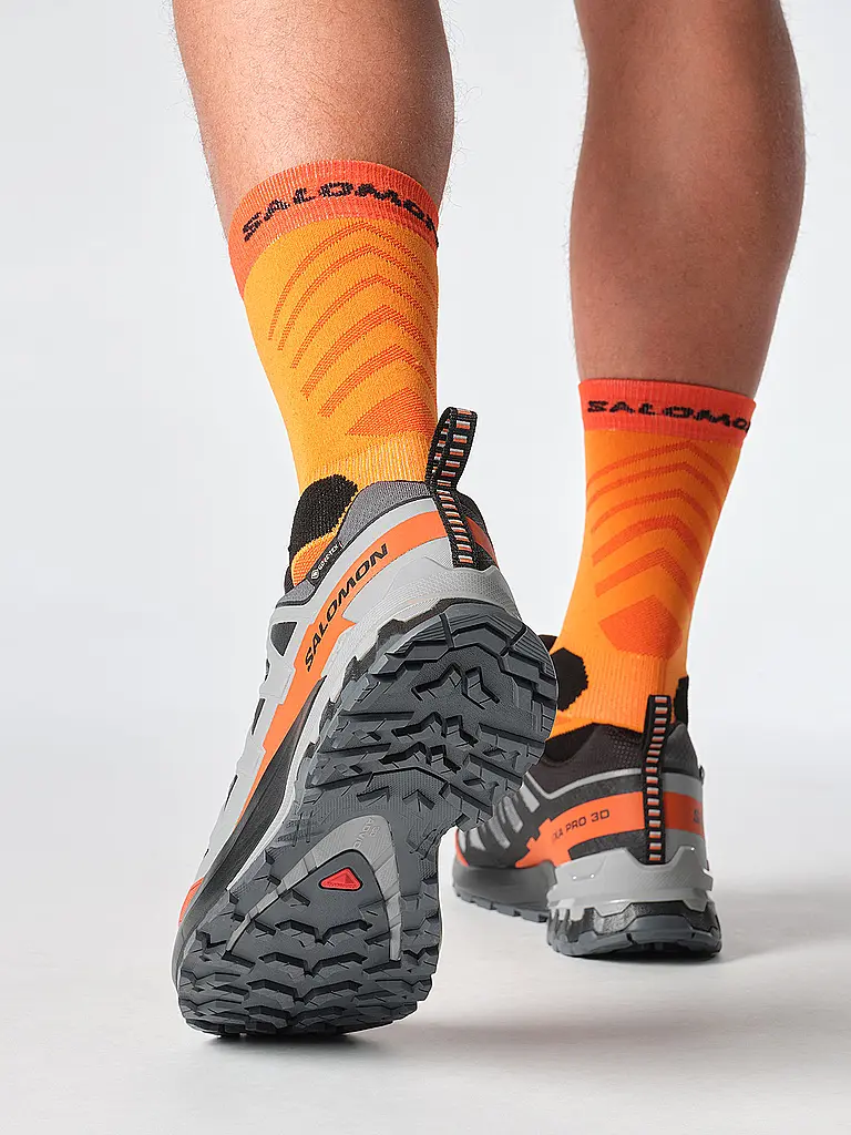 SALOMON | Herren Multifunktionsschuhe XA Pro 3D V9 GTX | grau