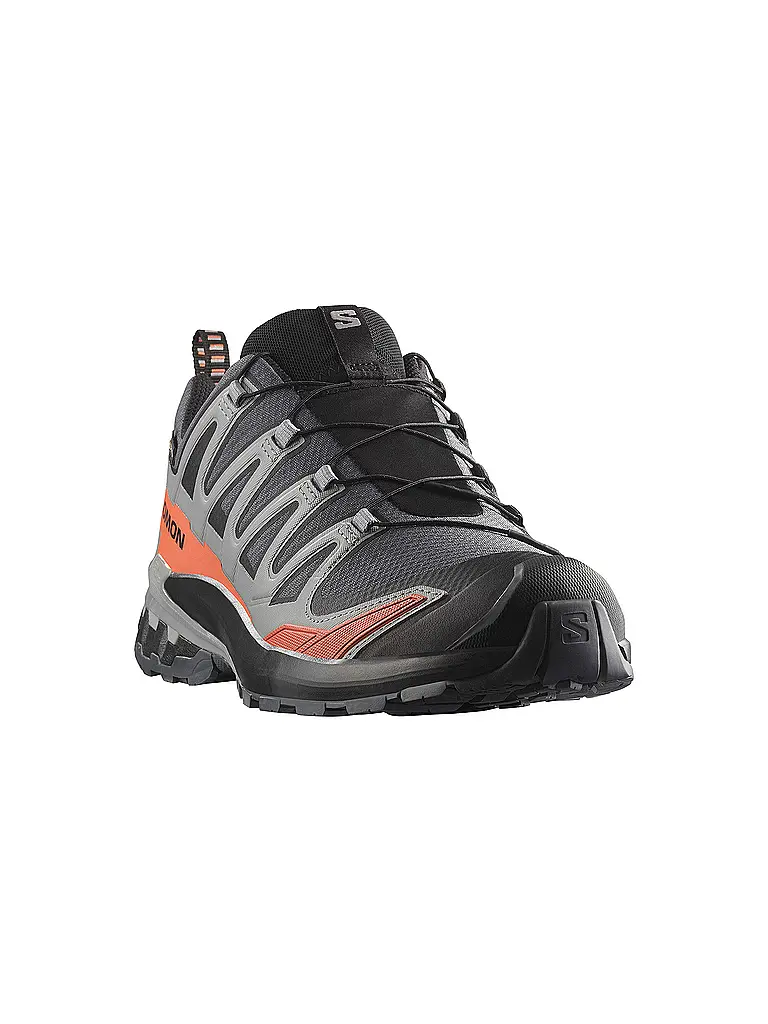 SALOMON | Herren Multifunktionsschuhe XA Pro 3D V9 GTX | grau