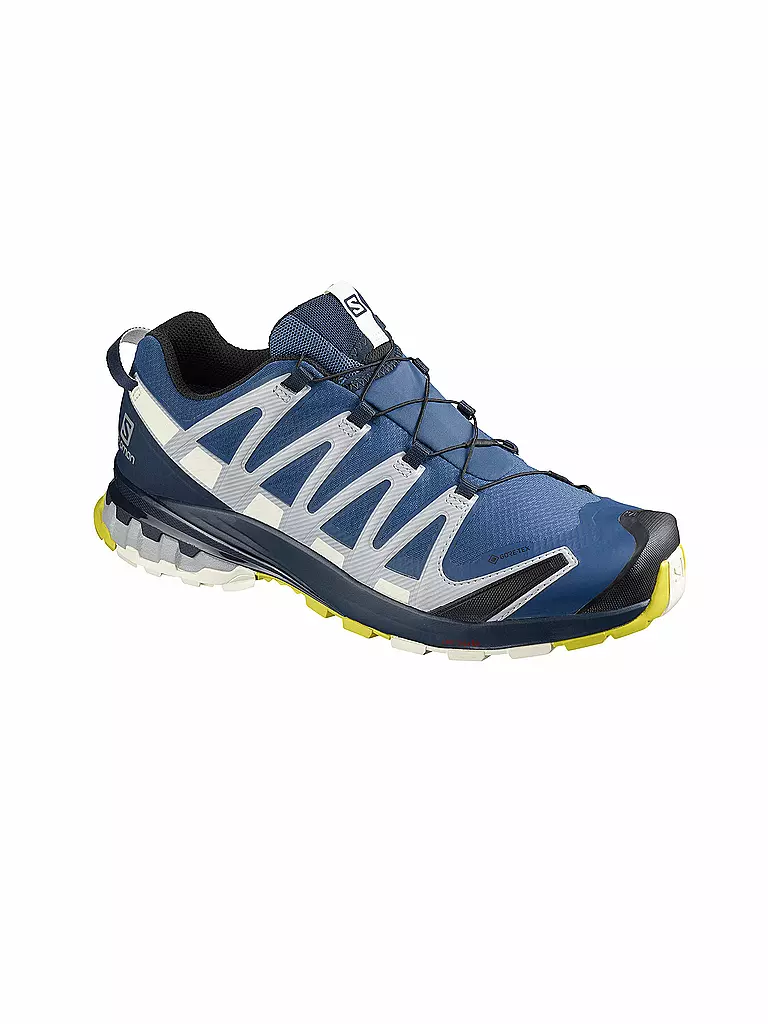 SALOMON | Herren Traillaufschuhe XA Pro 3D V8 GTX | blau