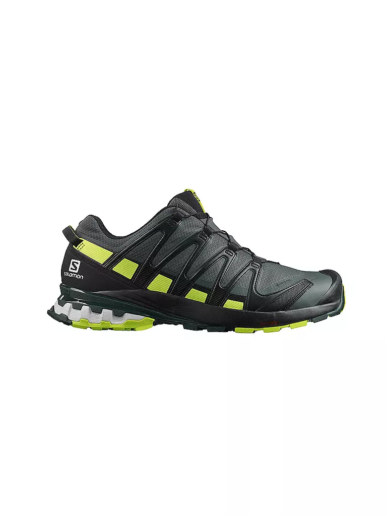 SALOMON | Herren Traillaufschuhe XA Pro 3D V8 GTX | grau