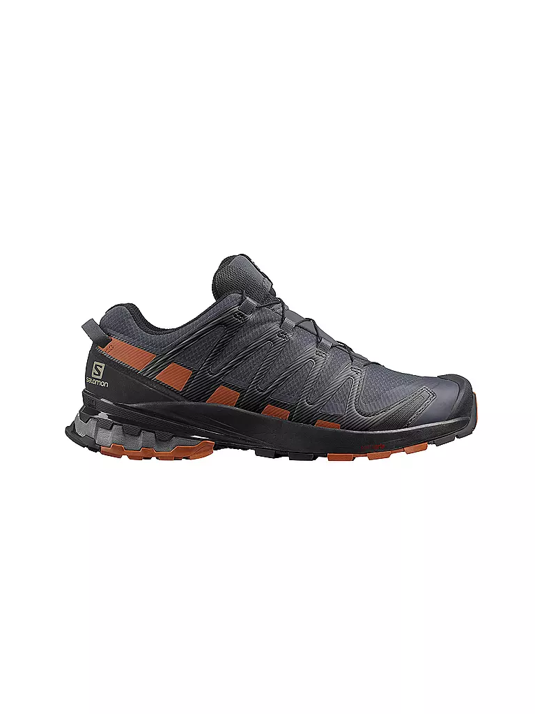 SALOMON Herren Traillaufschuhe XA Pro 3D V8 schwarz