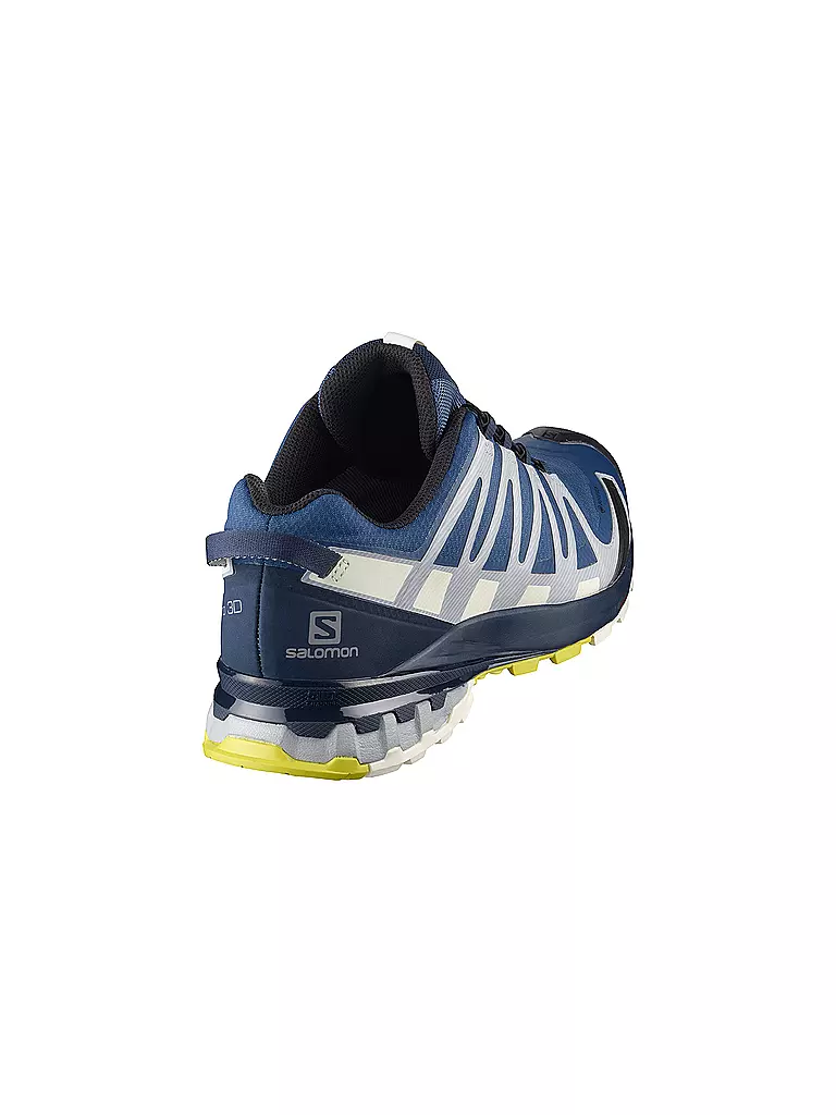 SALOMON | Herren Traillaufschuhe XA Pro 3D V8 GTX | blau