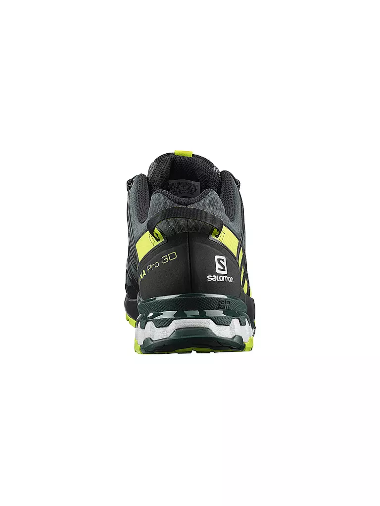 SALOMON | Herren Traillaufschuhe XA Pro 3D V8 GTX | grau