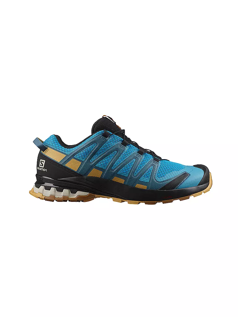 SALOMON | Herren Traillaufschuhe XA Pro 3D V8 | blau