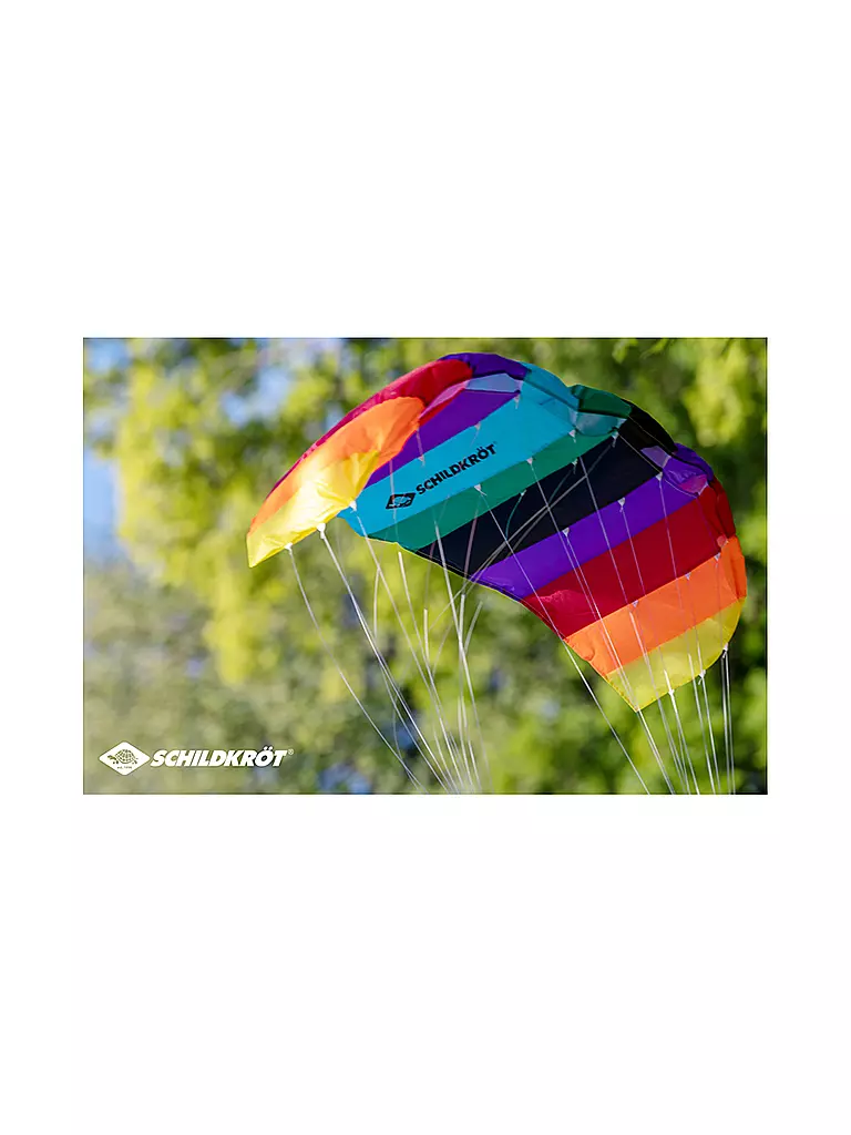 SCHILDKRÖT | Dual Line Sport Kite 1.3 | bunt