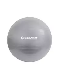 SCHILDKRÖT | Gymnastikball 85cm | silber