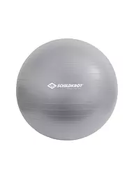 SCHILDKRÖT | Gymnastikball 85cm | silber