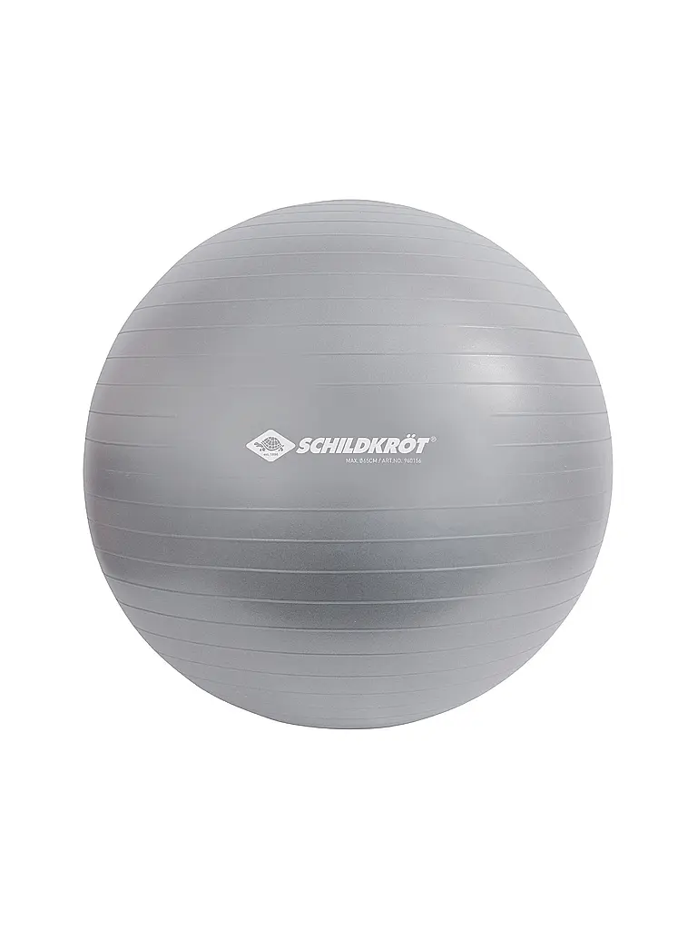 SCHILDKRÖT | Gymnastikball 65cm | silber