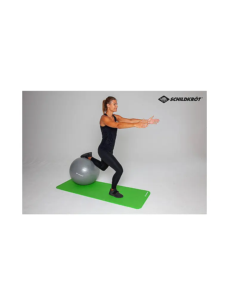 SCHILDKRÖT | Gymnastikball 65cm | silber