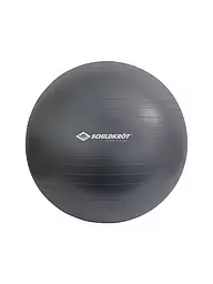 SCHILDKRÖT | Gymnastikball 85cm | grau