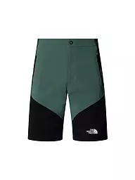 THE NORTH FACE | Herren Short Felik Slim Tapered | petrol