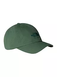 THE NORTH FACE | Kappe Norm | dunkelgrün