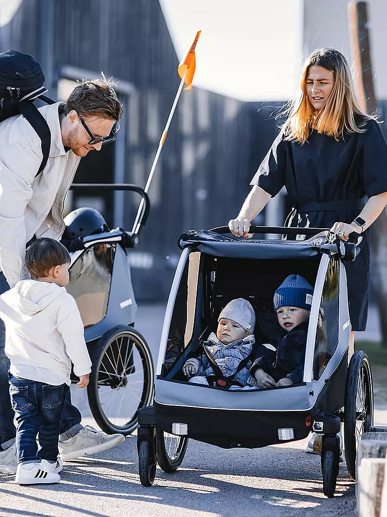 THULE | 3in1 Fahrradanhänger für Kinder, Hunde oder Lasten Thule Courier | schwarz