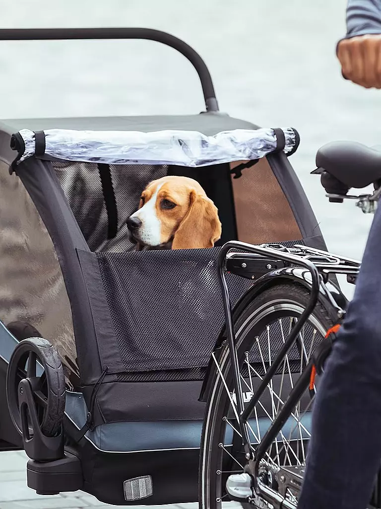 THULE | 3in1 Fahrradanhänger für Kinder, Hunde oder Lasten Thule Courier | schwarz