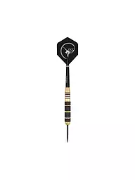 UNICORN | Steeldart-Pfeile Core Plus Brass | schwarz