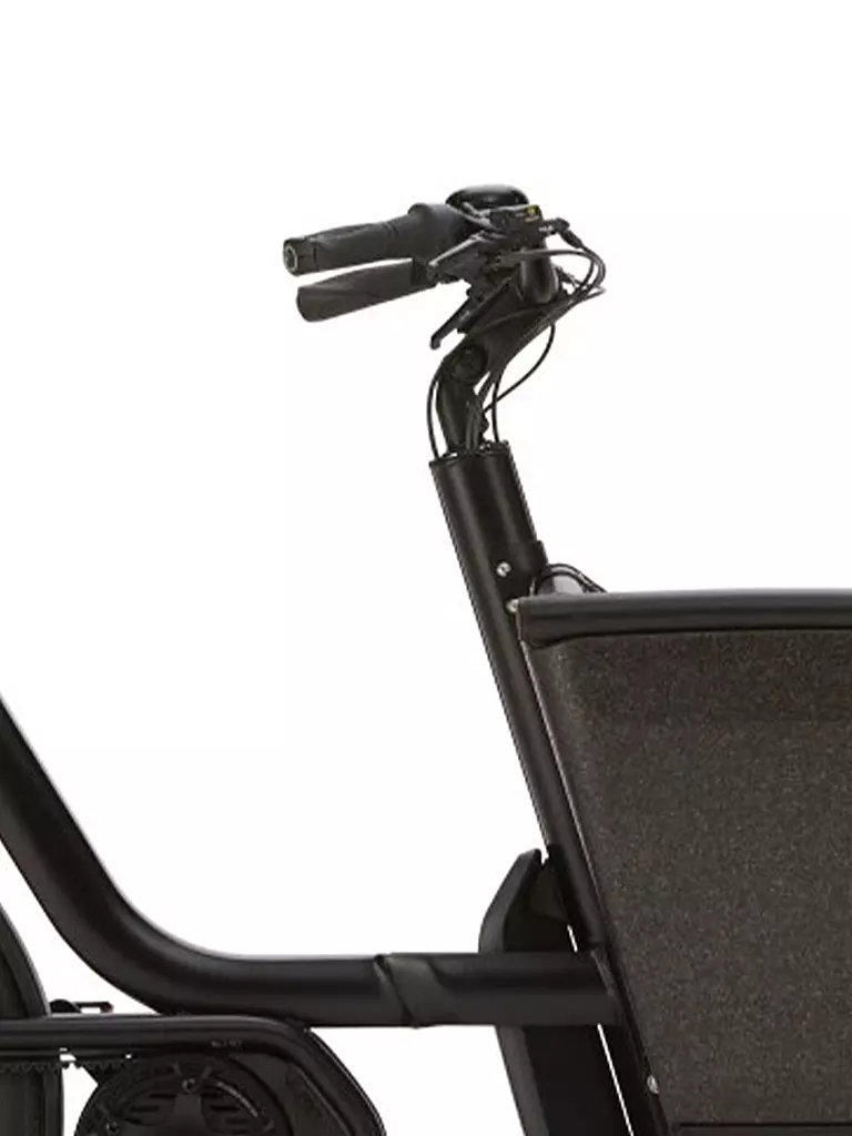 URBAN ARROW | E-Lastenrad Family Performance Line Essential 2022 | schwarz