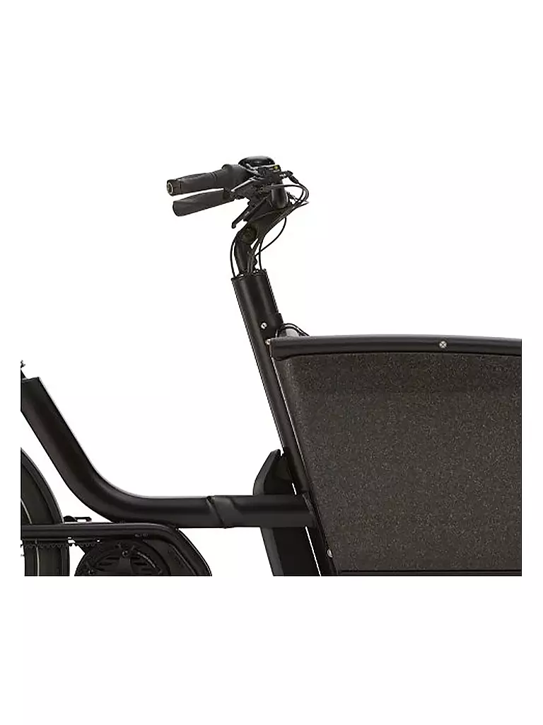 URBAN ARROW | E-Lastenrad Family Performance Line Plus 2022 | schwarz