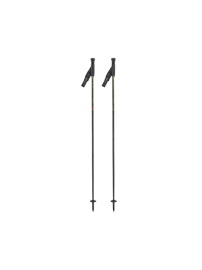 VAN DEER RED BULL SPORTS Skistöcke Piste Carbon olive | 115